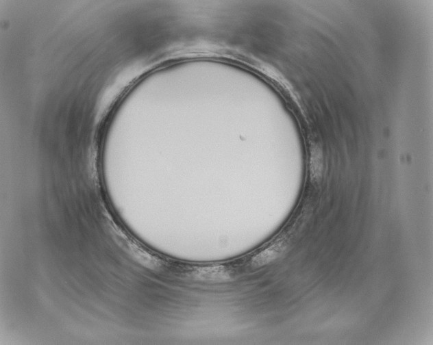 X0000070381464200607072142