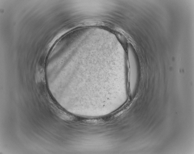 X0000070381465200607072142