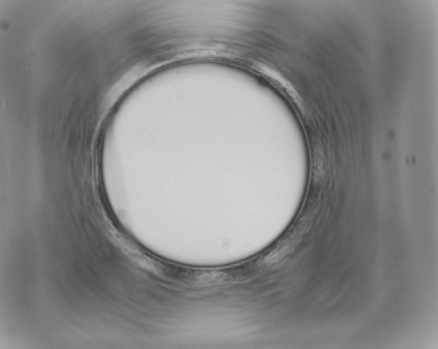 X0000070381467200607072142