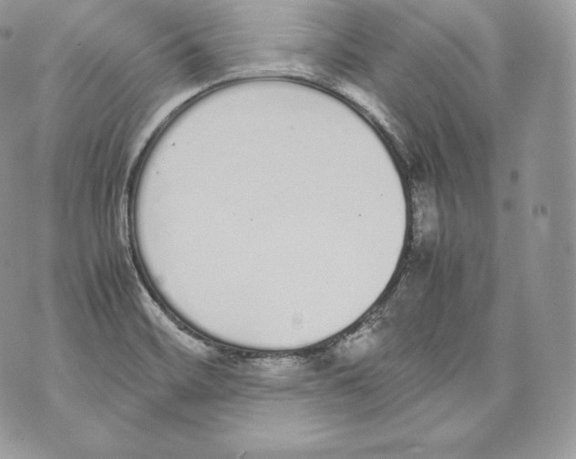 X0000070381468200607072142