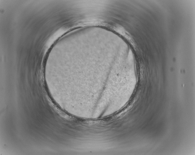 X0000070381469200607072142