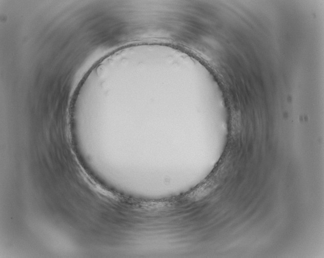 X0000070381470200607072142