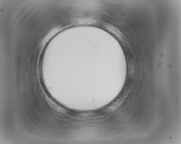 X0000070381471200607072142