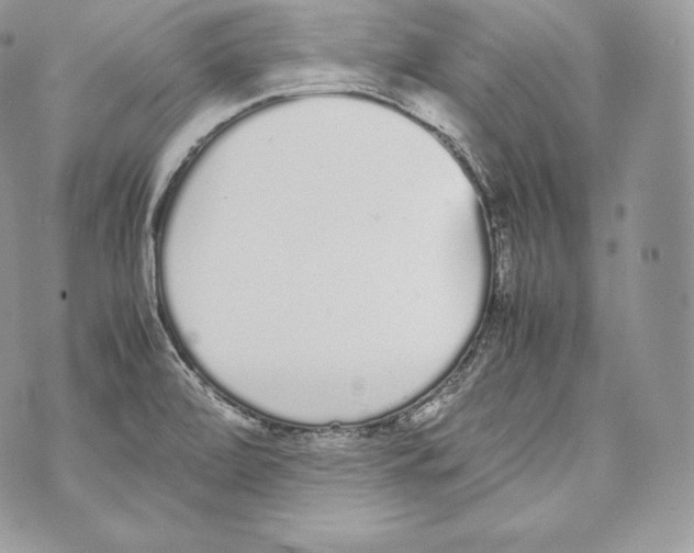 X0000070381472200607072142