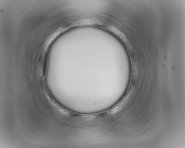 X0000070381473200607072142