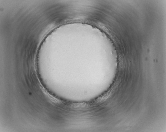 X0000070381474200607072141