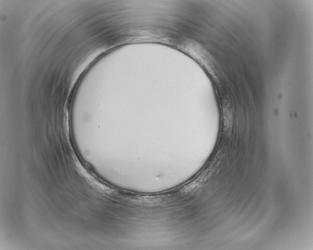 X0000070381476200607072141