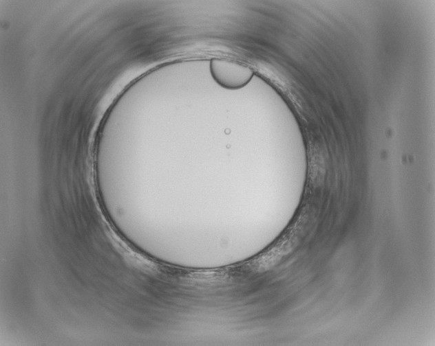 X0000070381478200607072141