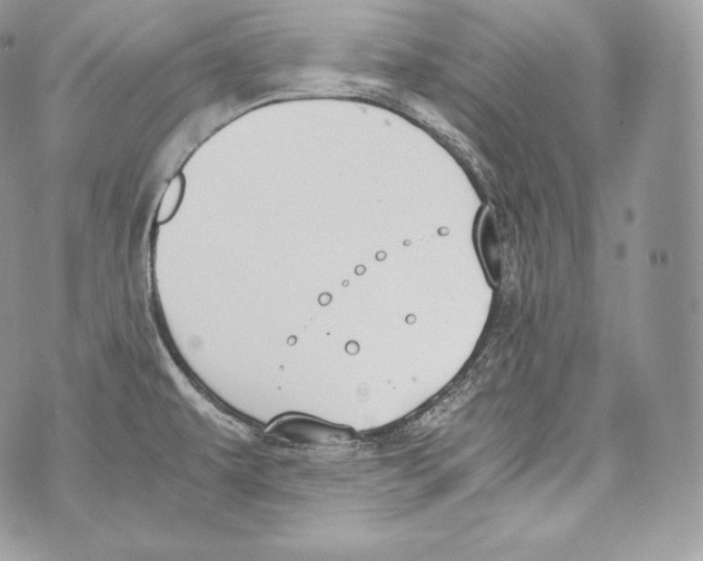 X0000070381479200607072141