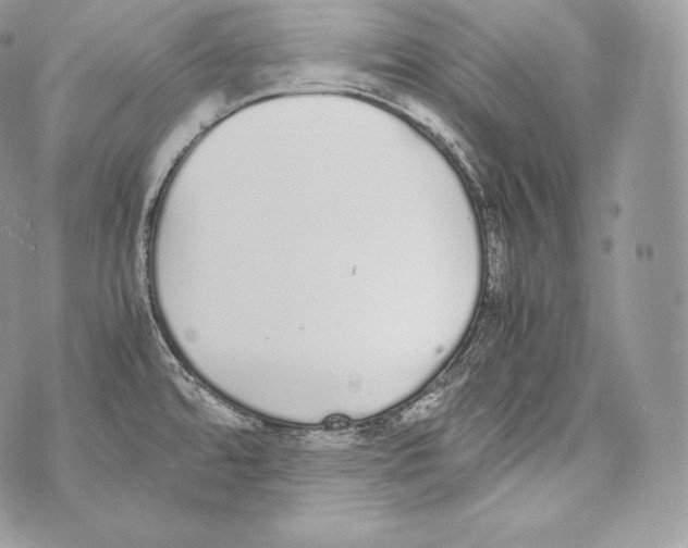 X0000070381480200607072141