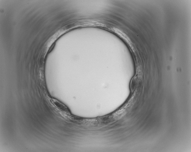 X0000070381481200607072141