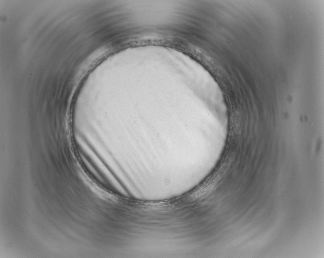 X0000070381482200607072141