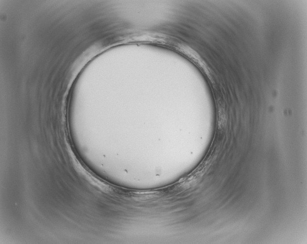 X0000070381483200607072141