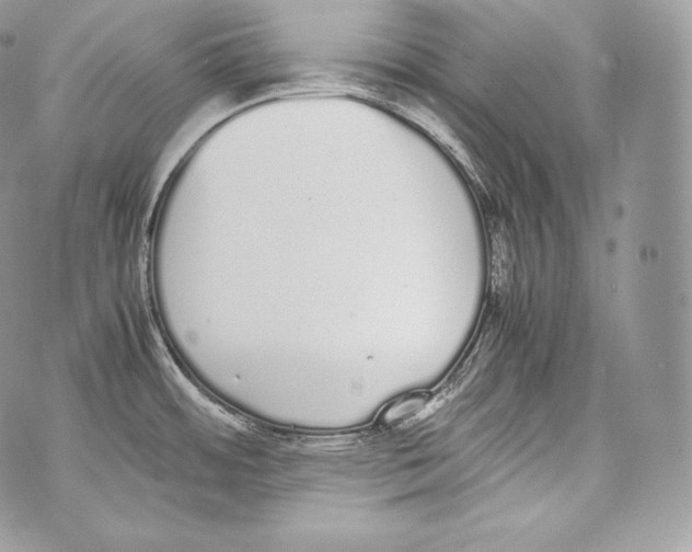 X0000070381484200607072141