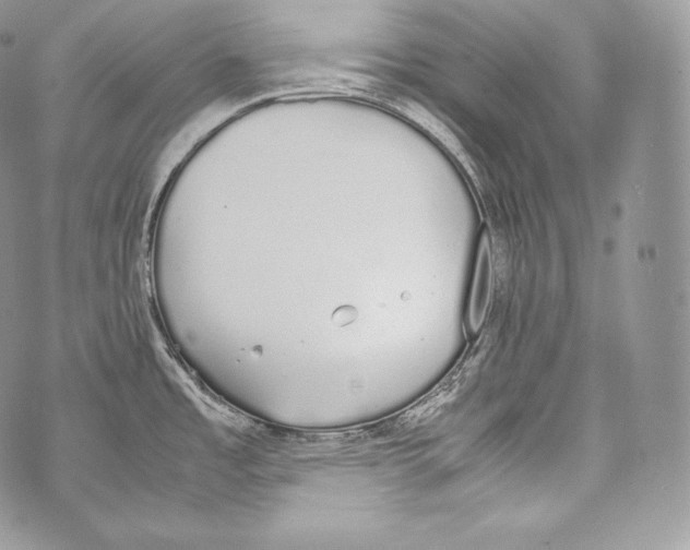 X0000070381485200607072141