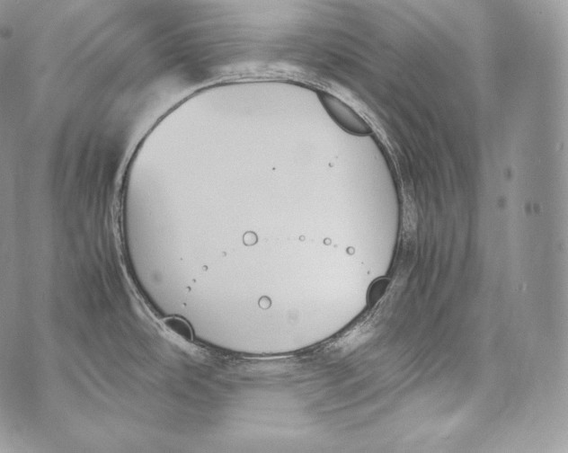 X0000070381486200607072141