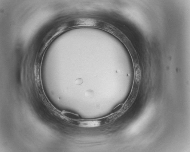 X0000070381487200607072141