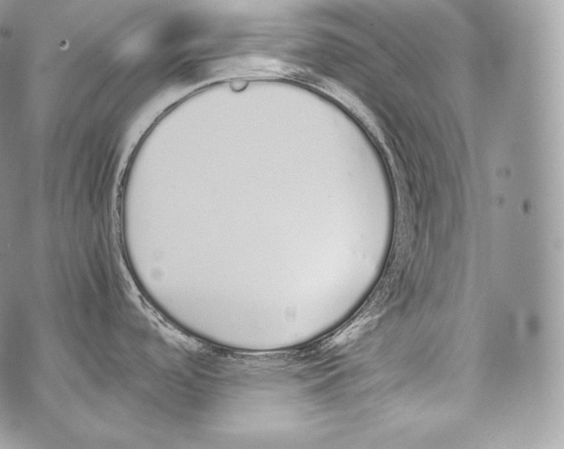 X0000070381488200607072141