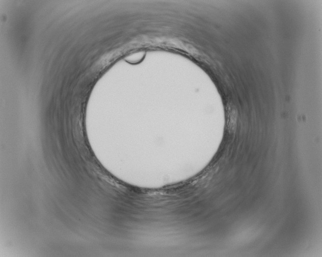 X0000070381489200607072140