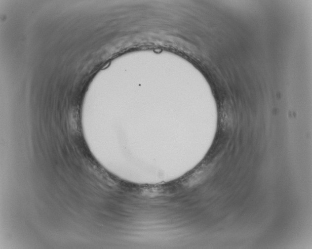 X0000070381490200607072141