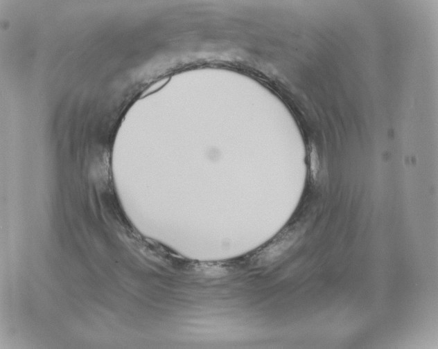 X0000070381492200607072141