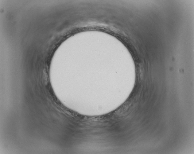 X0000070381493200607072141