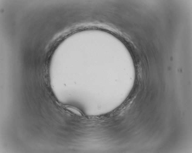 X0000070381494200607072141