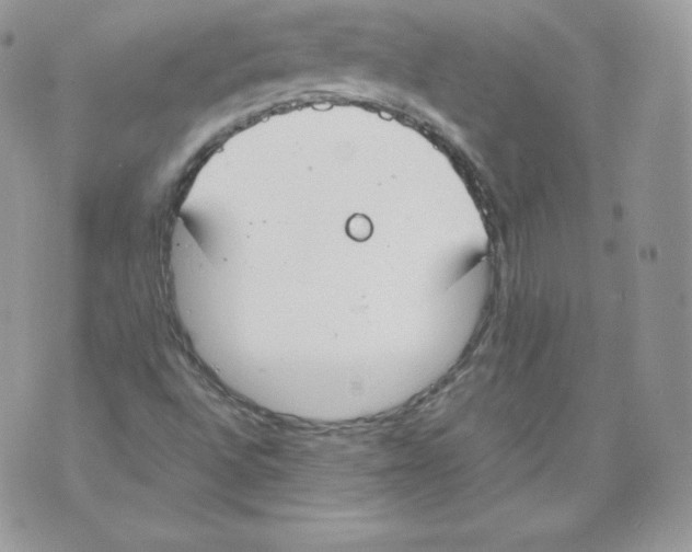 X0000070381496200607072141