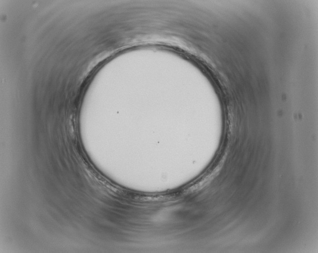 X0000070381497200607072141