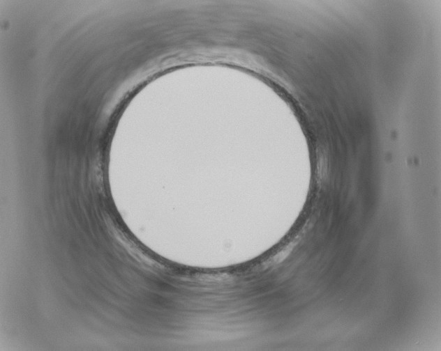 X0000070381498200607072141