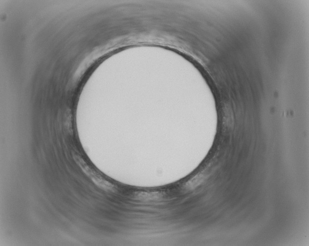 X0000070381499200607072141