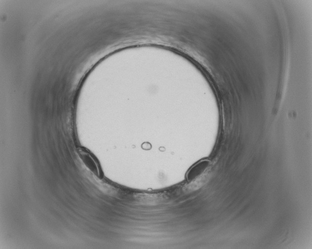 X0000070381500200607072141