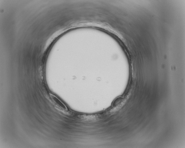 X0000070381501200607072141