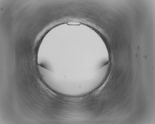 X0000070381502200607072141