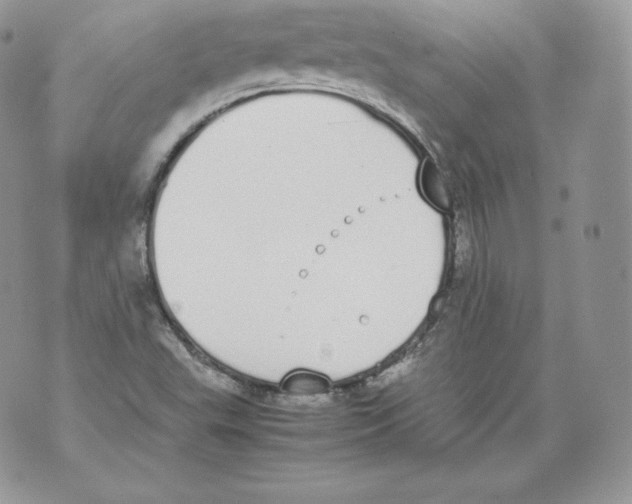 X0000070381503200607072141