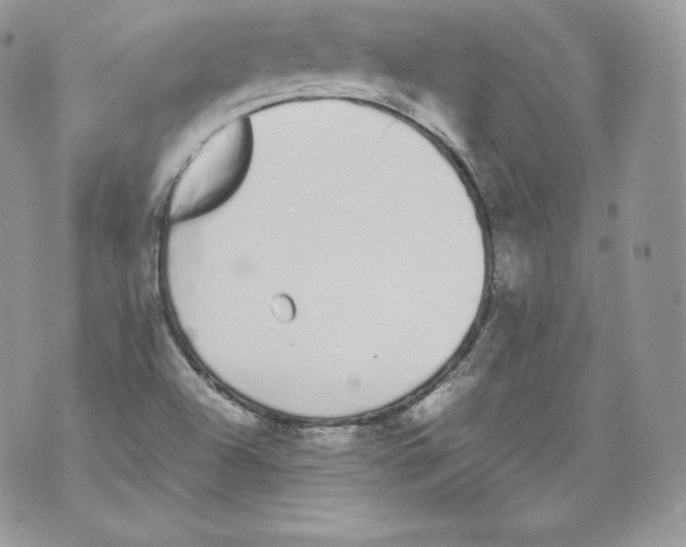 X0000070381504200607072141