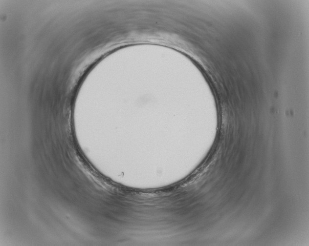 X0000070381507200607072141