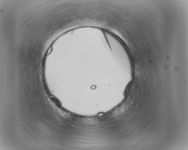 X0000070381508200607072141