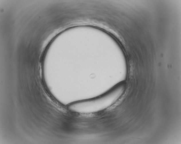 X0000070381509200607072141