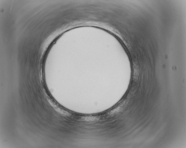 X0000070381511200607072141