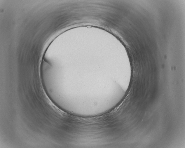 X0000070381516200607072141