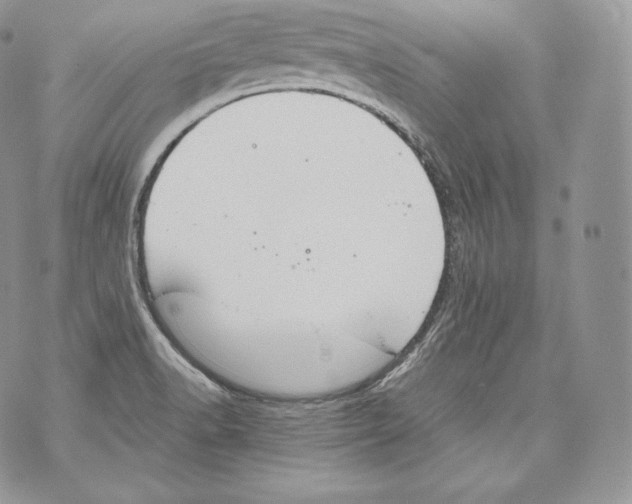 X0000070381518200607072141