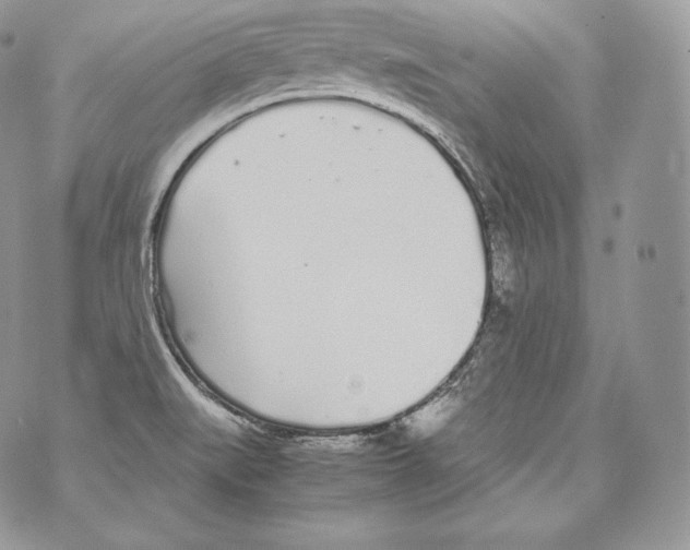 X0000070381519200607072141