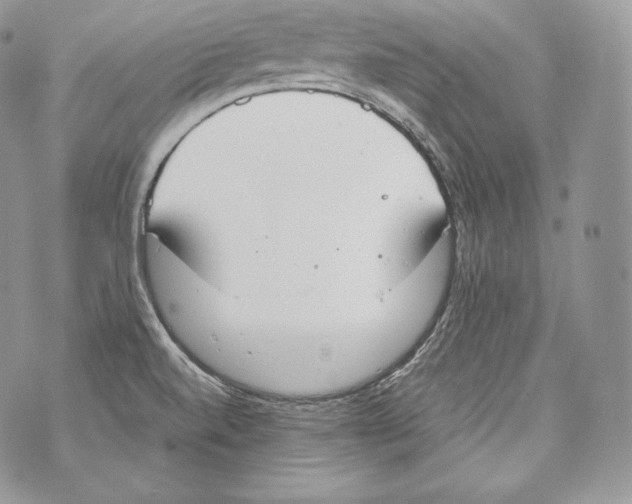 X0000070381520200607072141