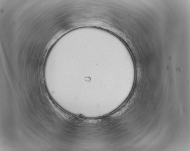 X0000070381521200607072141