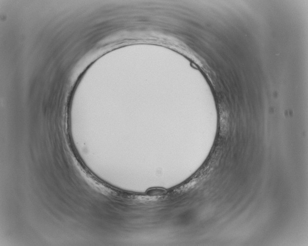 X0000070381523200607072141