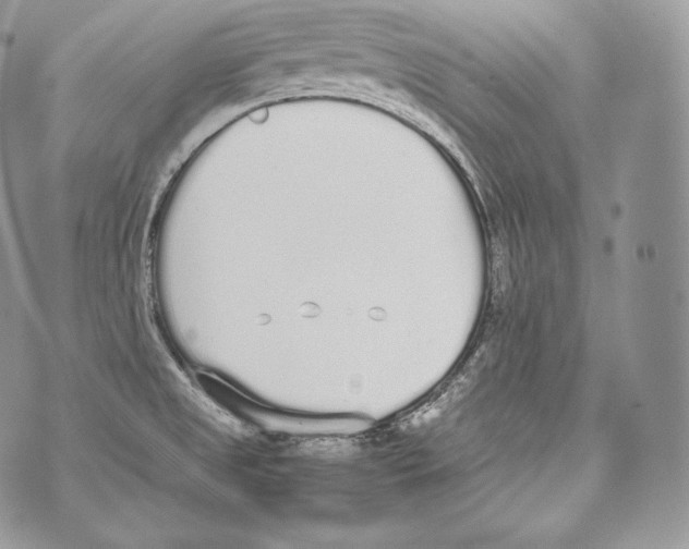 X0000070381525200607072141