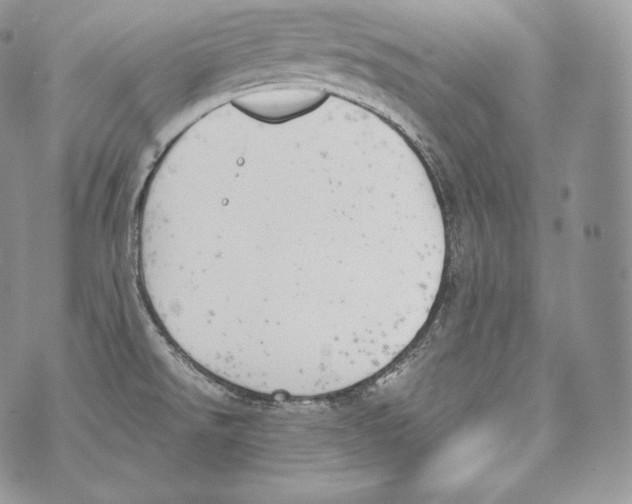 X0000070381526200607072141