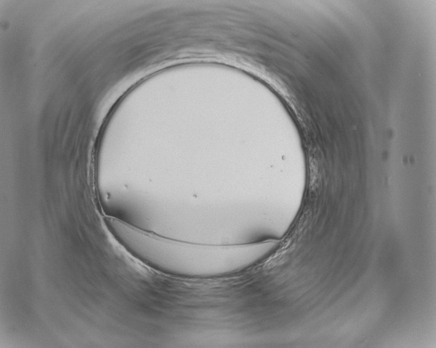 X0000070381527200607072141