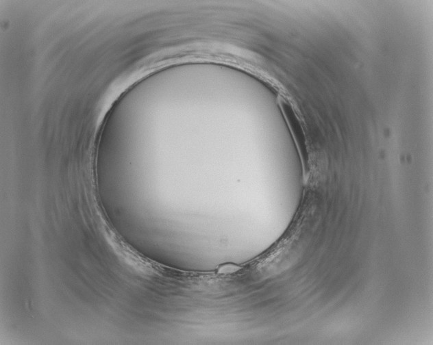 X0000070381530200607072141